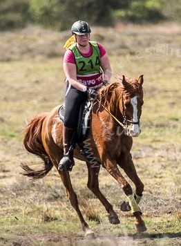 Floor-e1450449070555