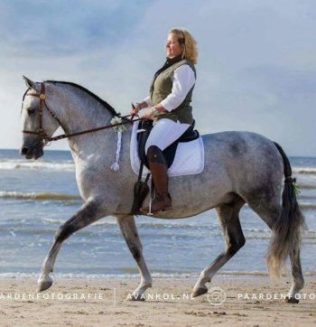 FB_IMG_1481489365552