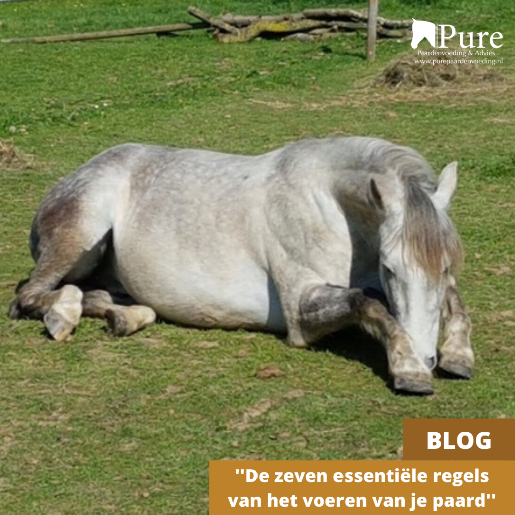 De zeven essentiële regels van het voeren van je paard