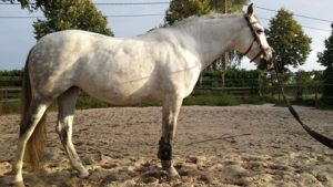 21317618_1674627015901063_950680074501896668_n