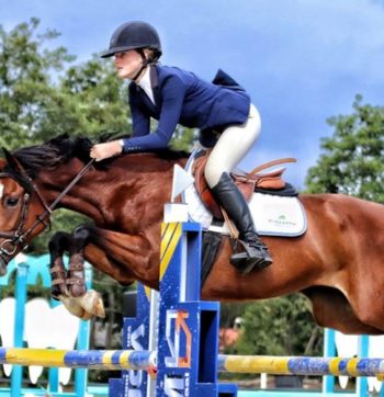 Purepaardenvoeding_social_linkpost_23augs