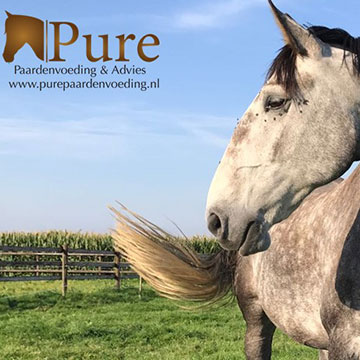 Op vakantie zonder paard, wat nu?