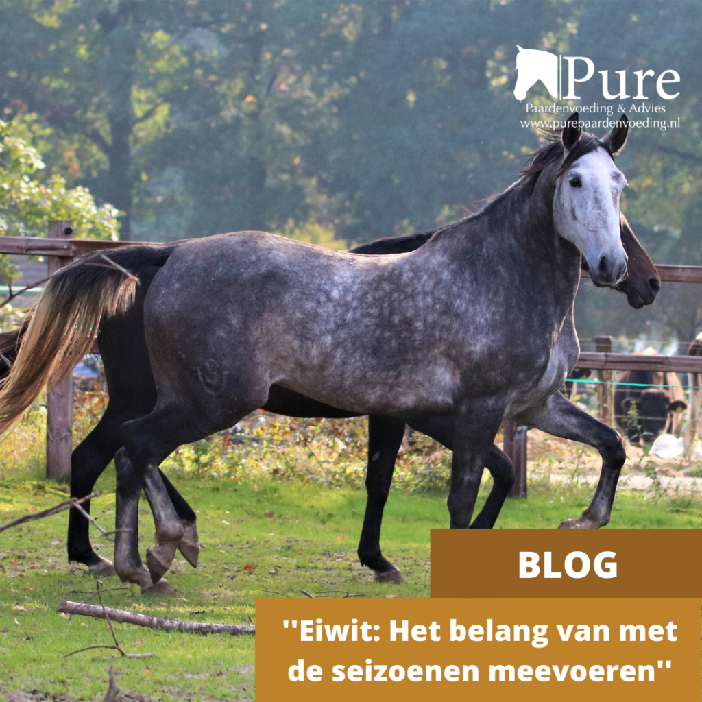 Eiwit: het belang van met de seizoenen meevoeren