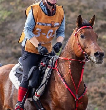 45188708_2121724024745411_7787243640039931904_n