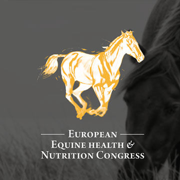 De belangrijkste inzichten uit de 9e editie van het EEHNC