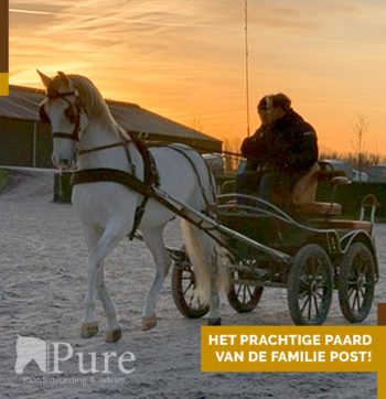 87984474_2864248596945479_7264889206399303680_o