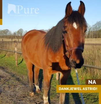 89252613_2877335438970128_2614477323289755648_o