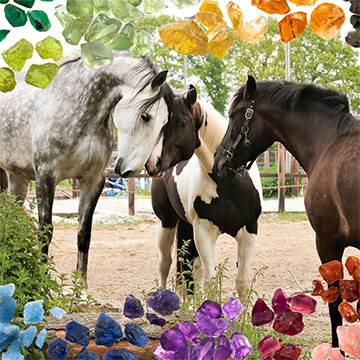 Sluipmoordenaar mineralenbuffet - aangevuld met extra bronnen! (30/3/2020)