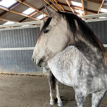 Ga uit van je eigen kracht in deze Coronatijd - door Monya Spijkhoven