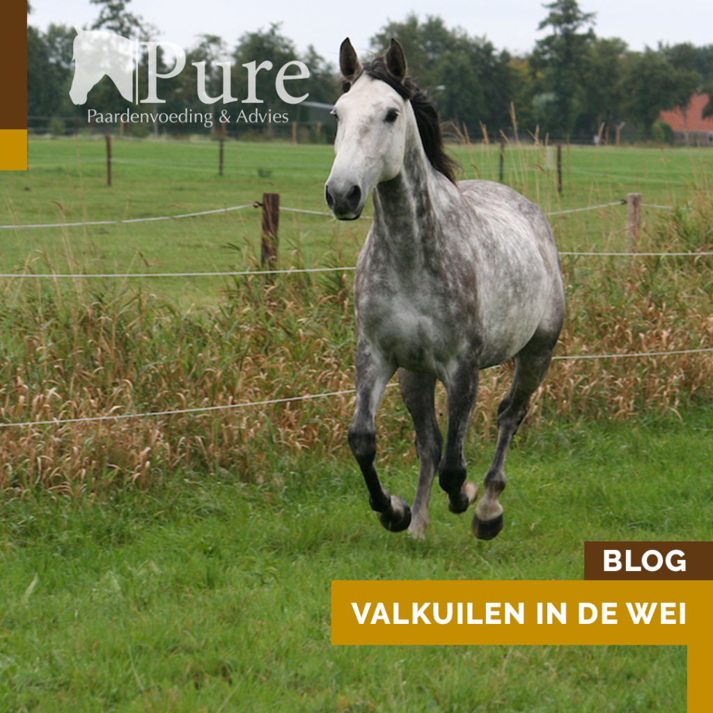 Valkuilen in de wei