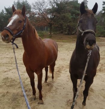 WhatsApp Image 2020-05-09 at 09.12.13