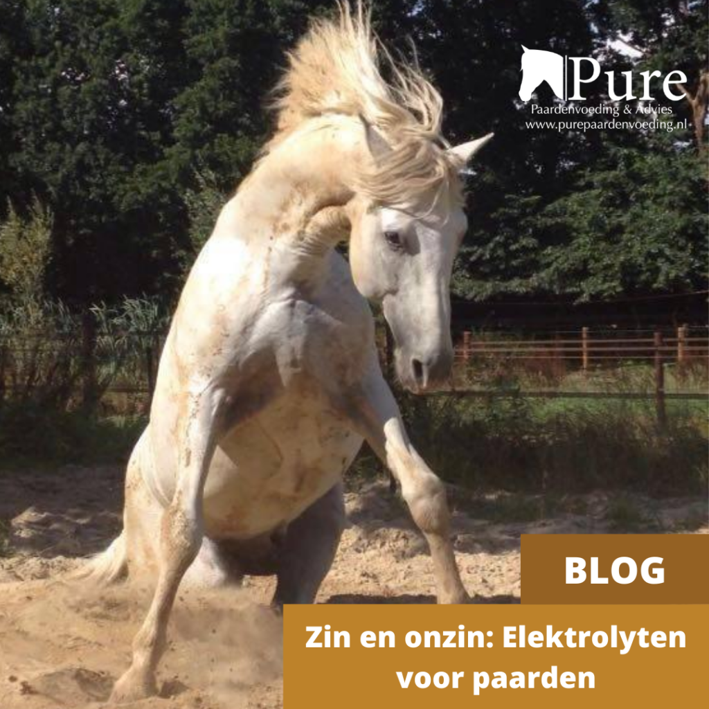 Zin en onzin: Elektrolyten voor paarden - nu geactualiseerd!