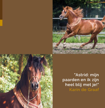 1101-PP-quotekarin-IG