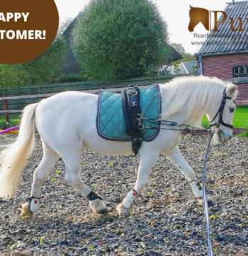 Happy Customer 09_11