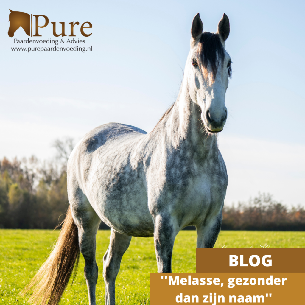 Melasse, gezonder dan zijn naam