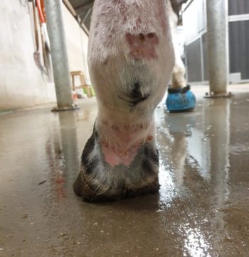 WhatsApp Image 2021-01-22 at 11.48.43 (1)