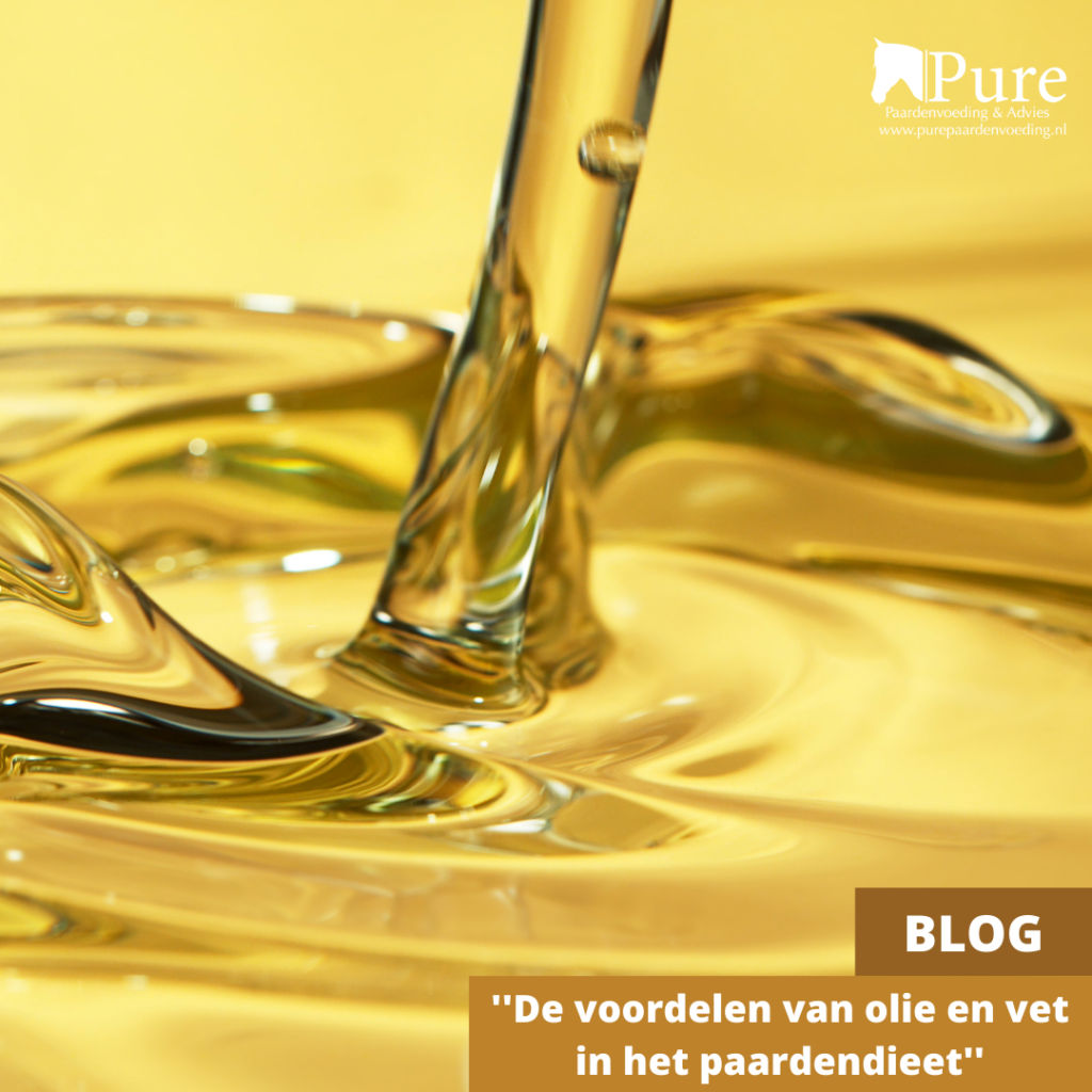 De voordelen van olie en vet in het paardendieet.