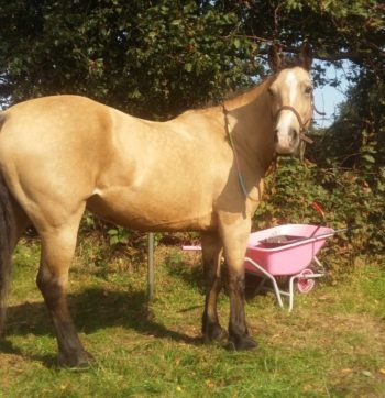 cba97bc8-9af9-46a5-9c06-b14e7d5d64a4