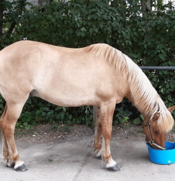 20210724_112253_resized