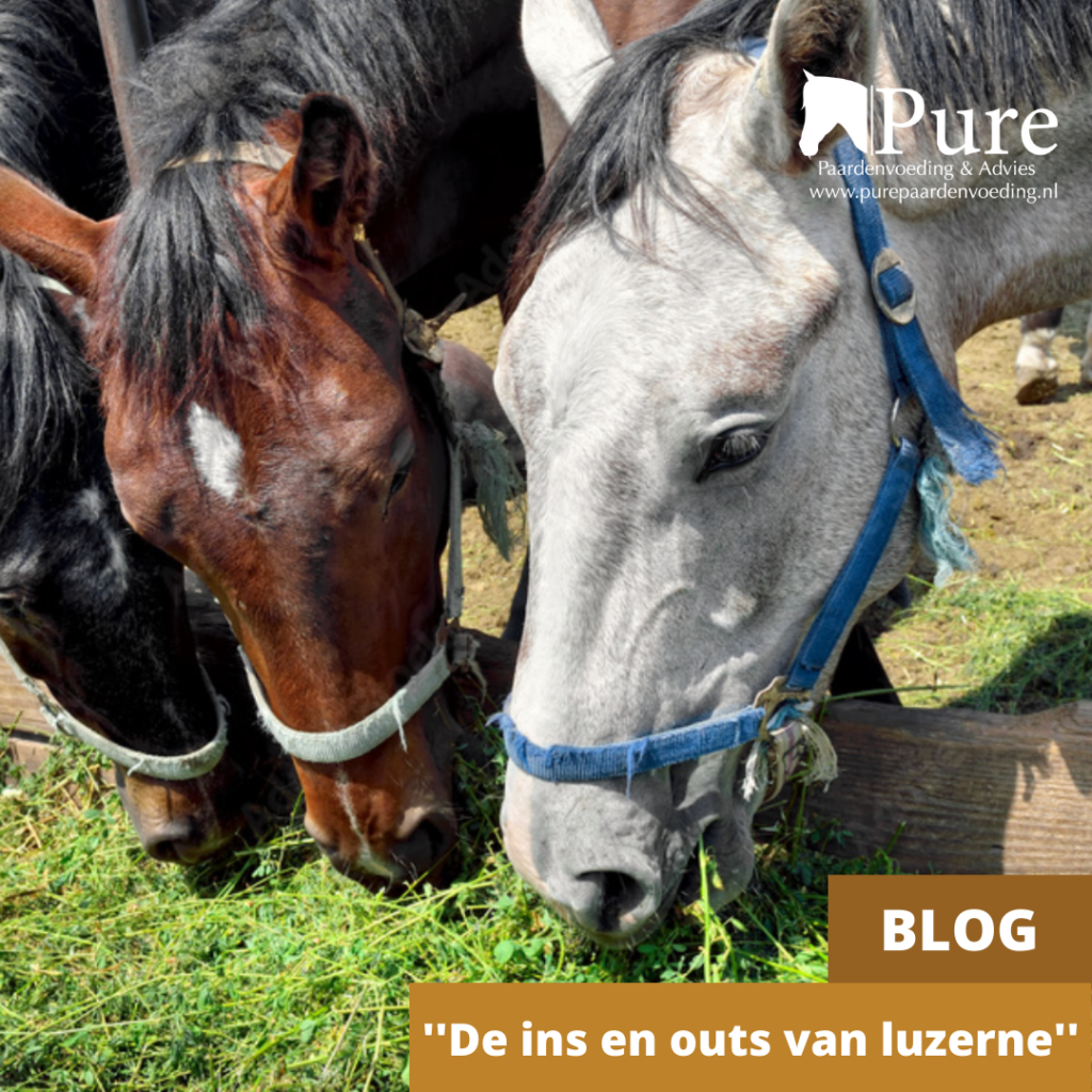 De ins en outs van luzerne