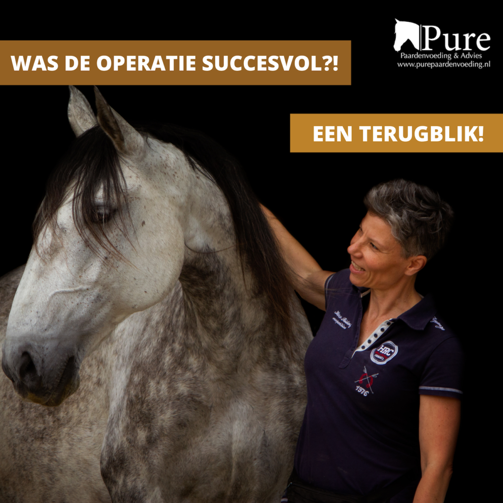 Holly's verhaal - revalidatie na hoornzuil operatie