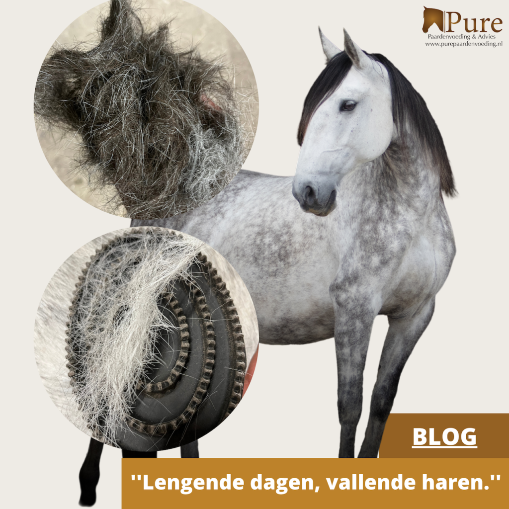 Verharing of rui, hoe werkt dit?