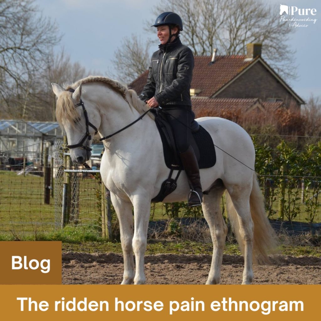 RHpE - the Ridden Horse pain Ethnogram - om 'verborgen' pijn en ongemak te herkennen - 13/11/2024 bijgewerkt