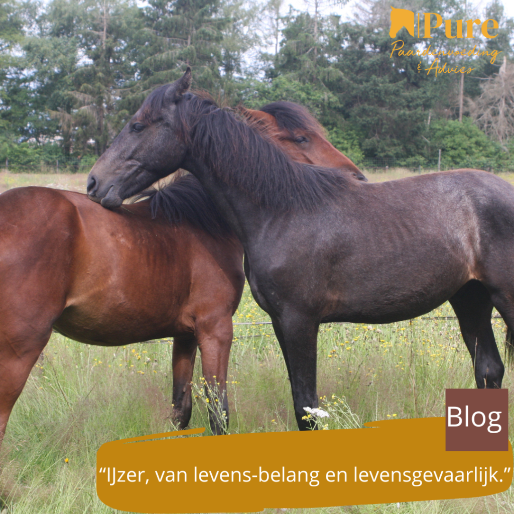 IJzer, van levensbelang en levensgevaarlijk